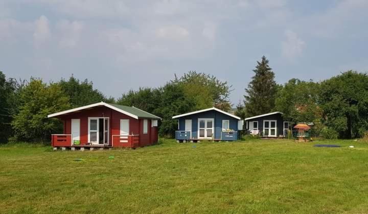 Kiszkowianka Domki Skrzeszewo  Экстерьер фото