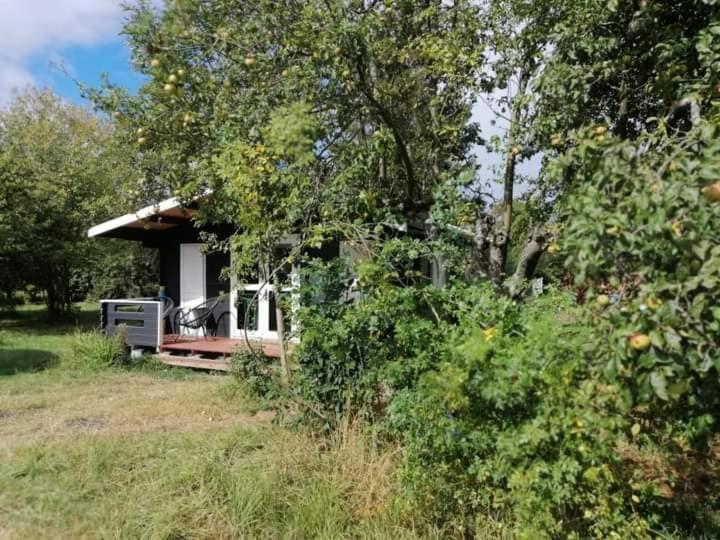 Kiszkowianka Domki Skrzeszewo  Экстерьер фото